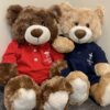 APA BEAR - Image 2
